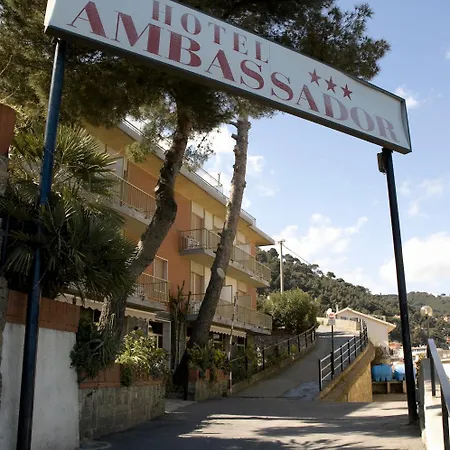 Ambassador